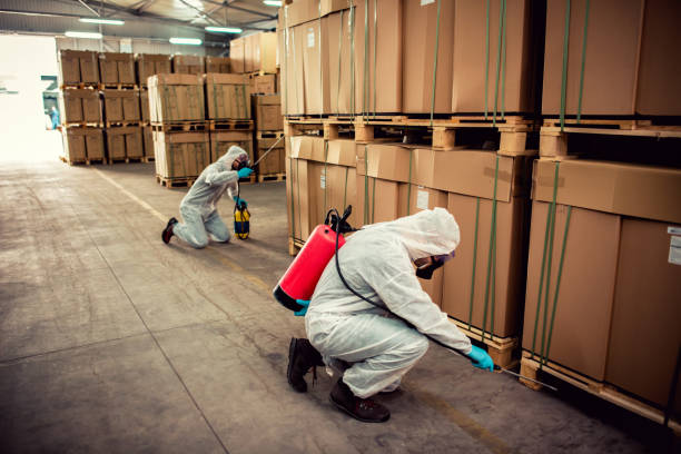 Best Best Pest Control Companies  in Mount Gilead, NC