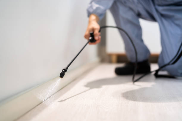Best Pest Prevention Services  in Mount Gilead, NC