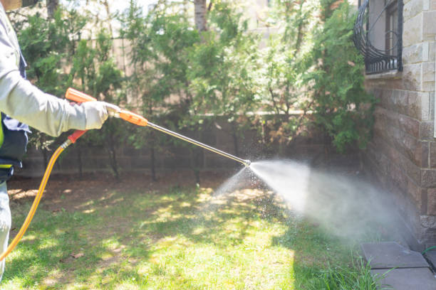 Best Rodent Control Near Me  in Mount Gilead, NC