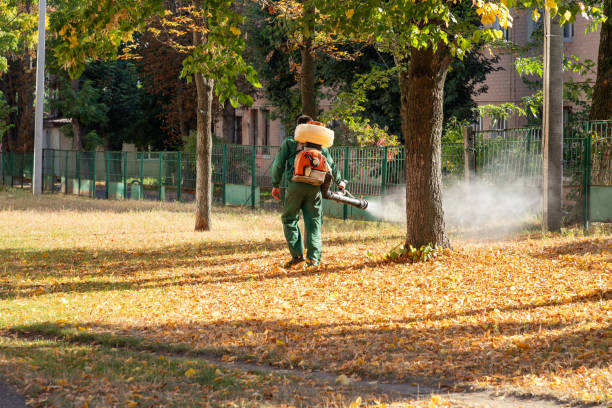 Best Pest Inspection Near Me  in Mount Gilead, NC