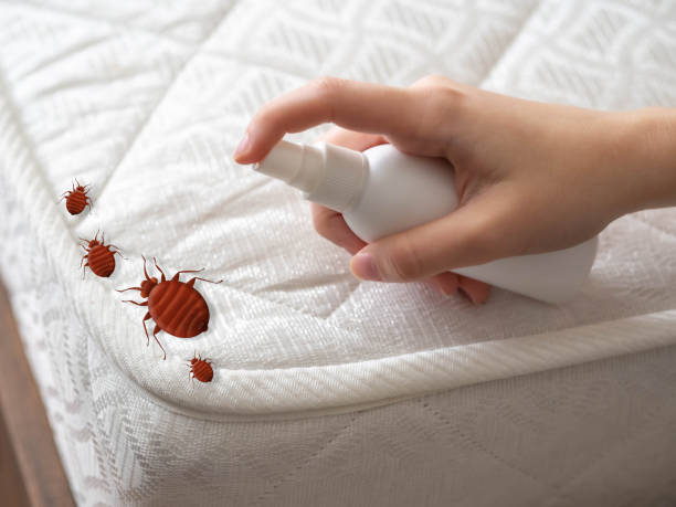 Best Commercial Pest Control Services  in Mount Gilead, NC